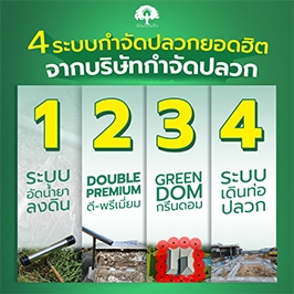  กำจัดปลวกอย่างมืออาชีพ-ด้วย-4-ระบบที่ได้รับความนิยมสูงสุดจากบริษัทกำจัดปลวก