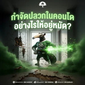 กำจัดปลวกในคอนโดอย่างไรให้อยู่หมัด? สาเหตุปลวกบุกและแนวทางจัดการที่เจ้าของห้องต้องรู้