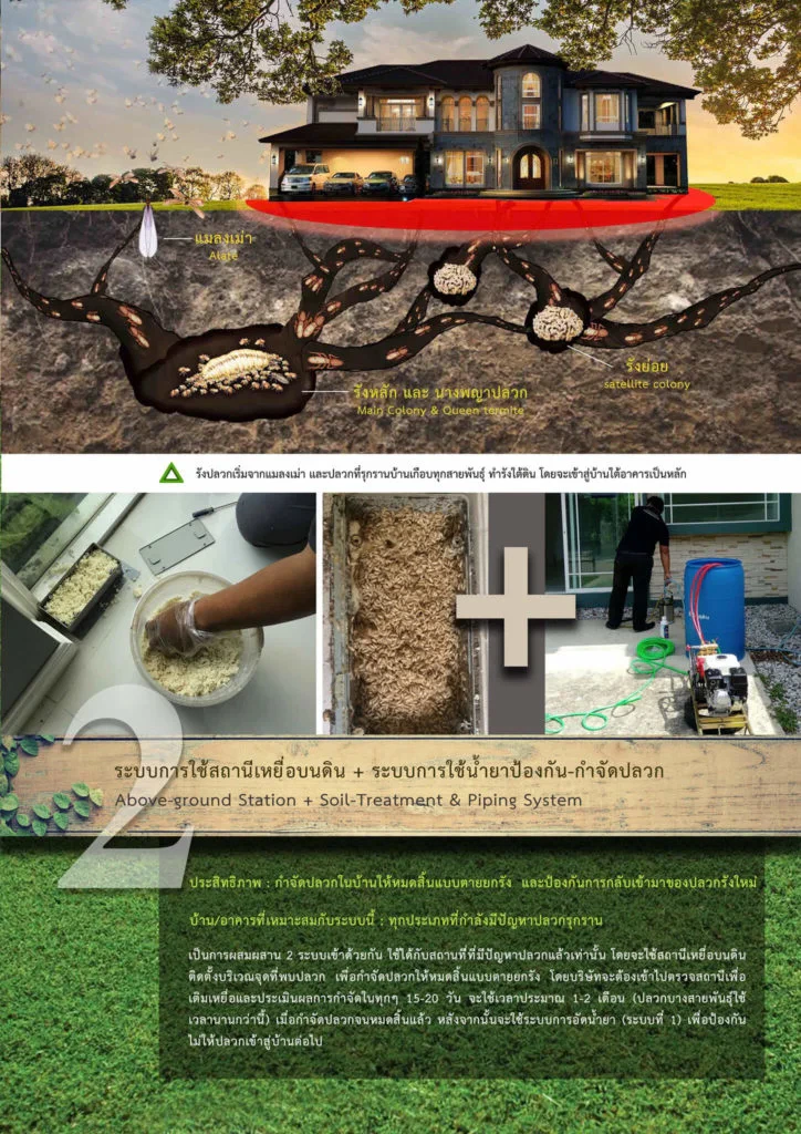 กำจัดปลวกระบบสถานีเหยื่อบนดิน