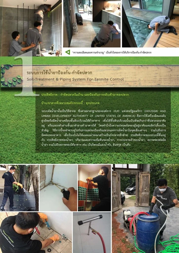 กำจัดปลวกระบบอัดน้ำยา