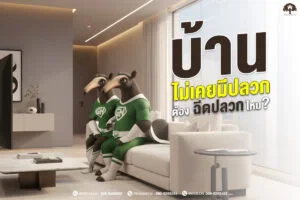 บ้านไม่เคยมีปลวก ต้องฉีดปลวกไหม? ทำไมคำถามนี้ถึงมีคนถามบ่อย