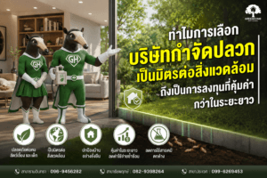 ทำไมการเลือกบริษัทกำจัดปลวกที่เป็นมิตรต่อสิ่งแวดล้อม ถึงเป็นการลงทุนที่คุ้มค่ากว่าในระยะยาว