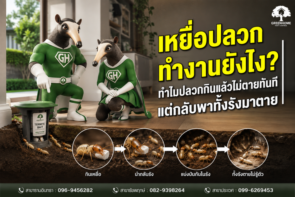 เหยื่อปลวกทำงานยังไง? ทำไมปลวกกินแล้วไม่ตายทันที แต่กลับพาทั้งรังมาตาย