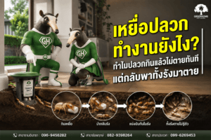 เหยื่อปลวกทำงานยังไง? ทำไมปลวกกินแล้วไม่ตายทันที แต่กลับพาทั้งรังมาตาย