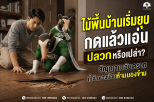 ไม้พื้นบ้านเริ่มยุบ กดแล้วแอ่น ปลวกหรือเปล่า สัญญาณอันตรายที่เจ้าของบ้านห้ามมองข้าม