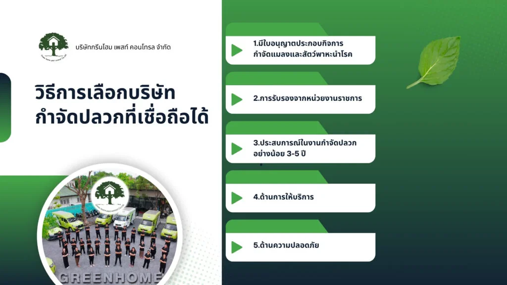 วิธีการเลือกบริษัทกำจัดปลวกอย่างปลอดภัยและเชื่อถือได้